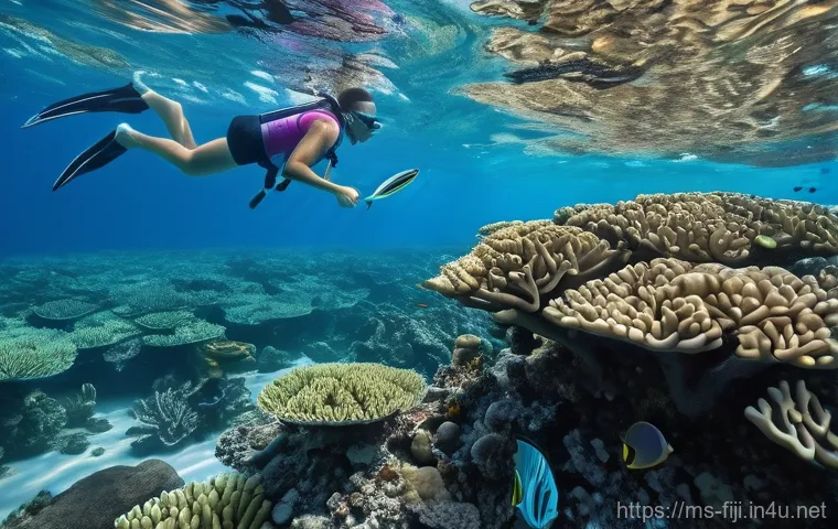 피지의 환경 보호 정책 - **"A vibrant community effort in a Fijian coastal village. Focus on a group of diverse Fijian people... 피지의 환경 보호 정책 - **"A vibrant community effort in a Fijian coastal village. Focus on a group of diverse Fijian people...