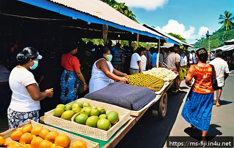 피지 비자 및 입국 절차 관련 이미지 2